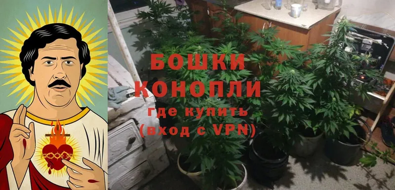 Бошки марихуана White Widow  blacksprut ссылка  Анжеро-Судженск 